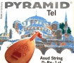 פירמיד - מיתרים לעוד